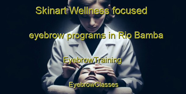 Skinart Wellness-focused eyebrow programs in Rio Bamba | EyebrowTraining | EyebrowClasses | SkinartTraining-Argentina