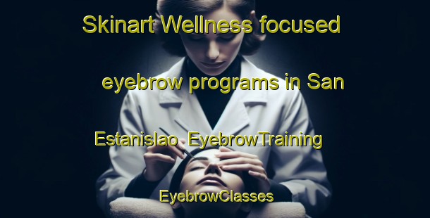 Skinart Wellness-focused eyebrow programs in San Estanislao | EyebrowTraining | EyebrowClasses | SkinartTraining-Argentina