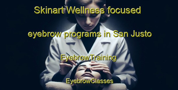 Skinart Wellness-focused eyebrow programs in San Justo | EyebrowTraining | EyebrowClasses | SkinartTraining-Argentina