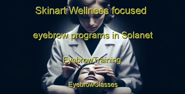 Skinart Wellness-focused eyebrow programs in Solanet | EyebrowTraining | EyebrowClasses | SkinartTraining-Argentina