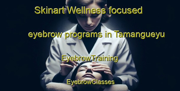 Skinart Wellness-focused eyebrow programs in Tamangueyu | EyebrowTraining | EyebrowClasses | SkinartTraining-Argentina