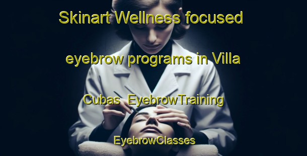Skinart Wellness-focused eyebrow programs in Villa Cubas | EyebrowTraining | EyebrowClasses | SkinartTraining-Argentina