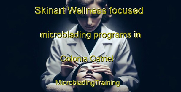 Skinart Wellness-focused microblading programs in Colonia Catriel | MicrobladingTraining | MicrobladingClasses | SkinartTraining-Argentina