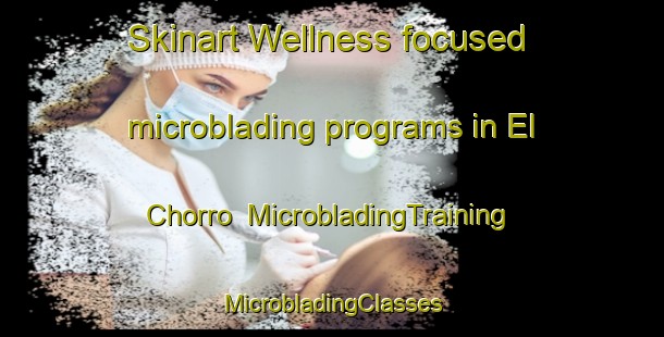 Skinart Wellness-focused microblading programs in El Chorro | #MicrobladingTraining #MicrobladingClasses #SkinartTraining-Argentina