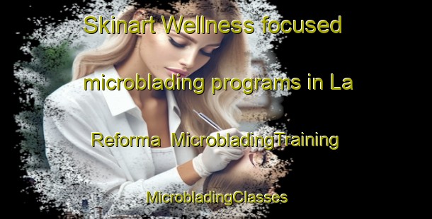 Skinart Wellness-focused microblading programs in La Reforma | #MicrobladingTraining #MicrobladingClasses #SkinartTraining-Argentina