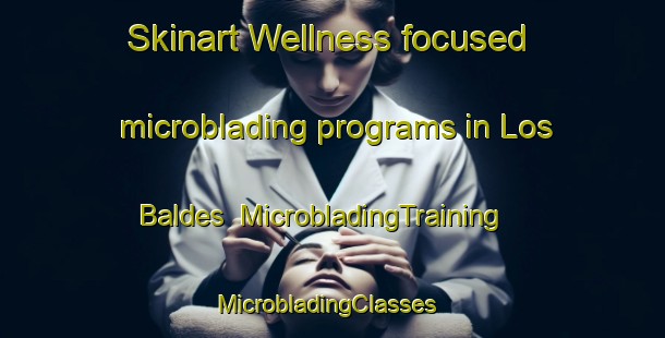 Skinart Wellness-focused microblading programs in Los Baldes | MicrobladingTraining | MicrobladingClasses | SkinartTraining-Argentina