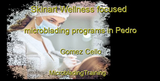 Skinart Wellness-focused microblading programs in Pedro Gomez Cello | MicrobladingTraining | MicrobladingClasses | SkinartTraining-Argentina