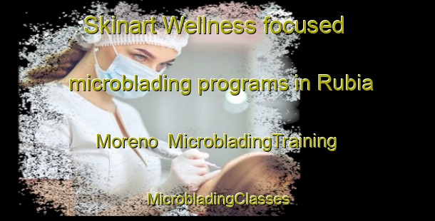 Skinart Wellness-focused microblading programs in Rubia Moreno | #MicrobladingTraining #MicrobladingClasses #SkinartTraining-Argentina