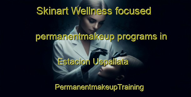 Skinart Wellness-focused permanentmakeup programs in Estacion Uspallata | #PermanentmakeupTraining #PermanentmakeupClasses #SkinartTraining-Argentina