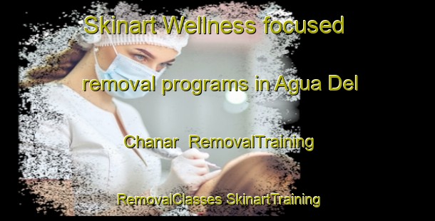 Skinart Wellness-focused removal programs in Agua Del Chanar | #RemovalTraining #RemovalClasses #SkinartTraining-Argentina