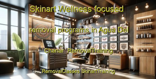 Skinart Wellness-focused removal programs in Agua Del Chanar | #RemovalTraining #RemovalClasses #SkinartTraining-Argentina