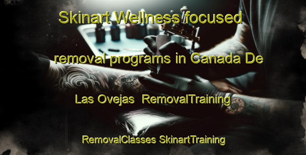 Skinart Wellness-focused removal programs in Canada De Las Ovejas | #RemovalTraining #RemovalClasses #SkinartTraining-Argentina