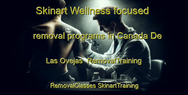 Skinart Wellness-focused removal programs in Canada De Las Ovejas | #RemovalTraining #RemovalClasses #SkinartTraining-Argentina