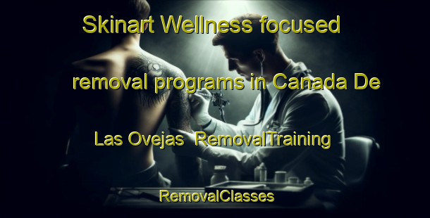 Skinart Wellness-focused removal programs in Canada De Las Ovejas | RemovalTraining | RemovalClasses | SkinartTraining-Argentina