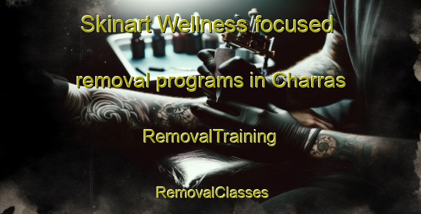 Skinart Wellness-focused removal programs in Charras | RemovalTraining | RemovalClasses | SkinartTraining-Argentina