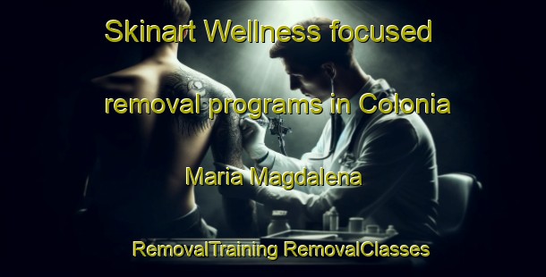 Skinart Wellness-focused removal programs in Colonia Maria Magdalena | #RemovalTraining #RemovalClasses #SkinartTraining-Argentina