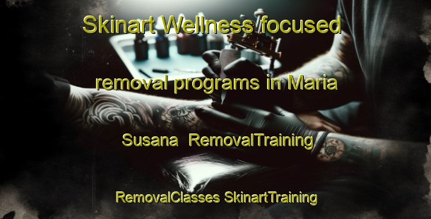 Skinart Wellness-focused removal programs in Maria Susana | #RemovalTraining #RemovalClasses #SkinartTraining-Argentina