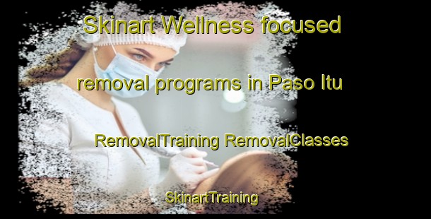 Skinart Wellness-focused removal programs in Paso Itu | #RemovalTraining #RemovalClasses #SkinartTraining-Argentina