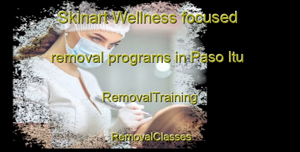 Skinart Wellness-focused removal programs in Paso Itu | RemovalTraining | RemovalClasses | SkinartTraining-Argentina