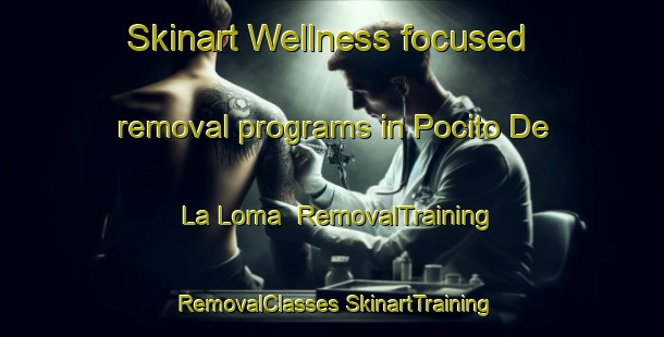 Skinart Wellness-focused removal programs in Pocito De La Loma | #RemovalTraining #RemovalClasses #SkinartTraining-Argentina