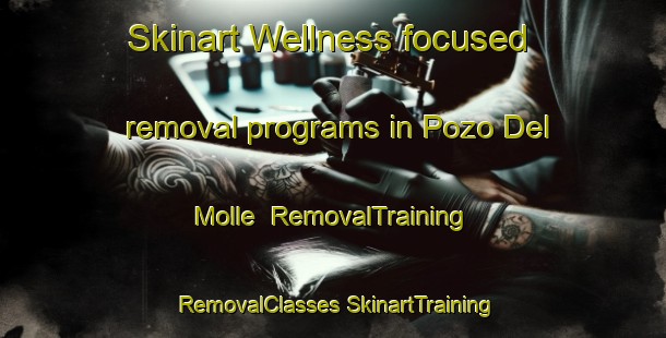 Skinart Wellness-focused removal programs in Pozo Del Molle | #RemovalTraining #RemovalClasses #SkinartTraining-Argentina