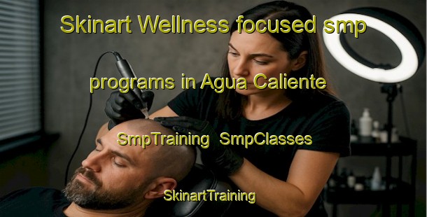 Skinart Wellness-focused smp programs in Agua Caliente | SmpTraining | SmpClasses | SkinartTraining-Argentina