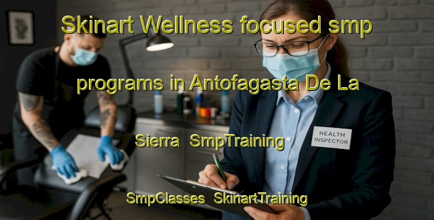 Skinart Wellness-focused smp programs in Antofagasta De La Sierra | SmpTraining | SmpClasses | SkinartTraining-Argentina