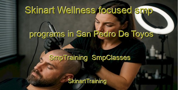 Skinart Wellness-focused smp programs in San Pedro De Toyos | SmpTraining | SmpClasses | SkinartTraining-Argentina
