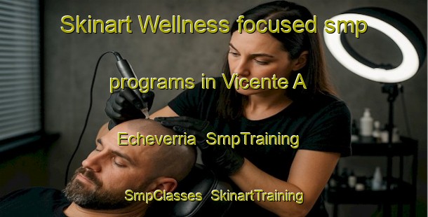 Skinart Wellness-focused smp programs in Vicente A  Echeverria | SmpTraining | SmpClasses | SkinartTraining-Argentina