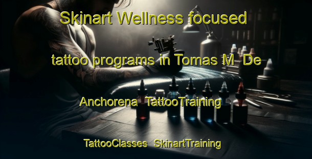 Skinart Wellness-focused tattoo programs in Tomas M  De Anchorena | TattooTraining | TattooClasses | SkinartTraining-Argentina