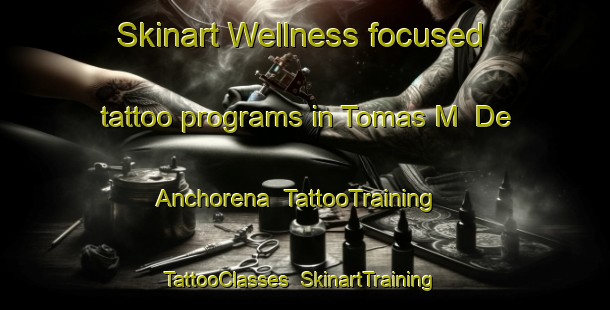 Skinart Wellness-focused tattoo programs in Tomas M  De Anchorena | TattooTraining | TattooClasses | SkinartTraining-Argentina
